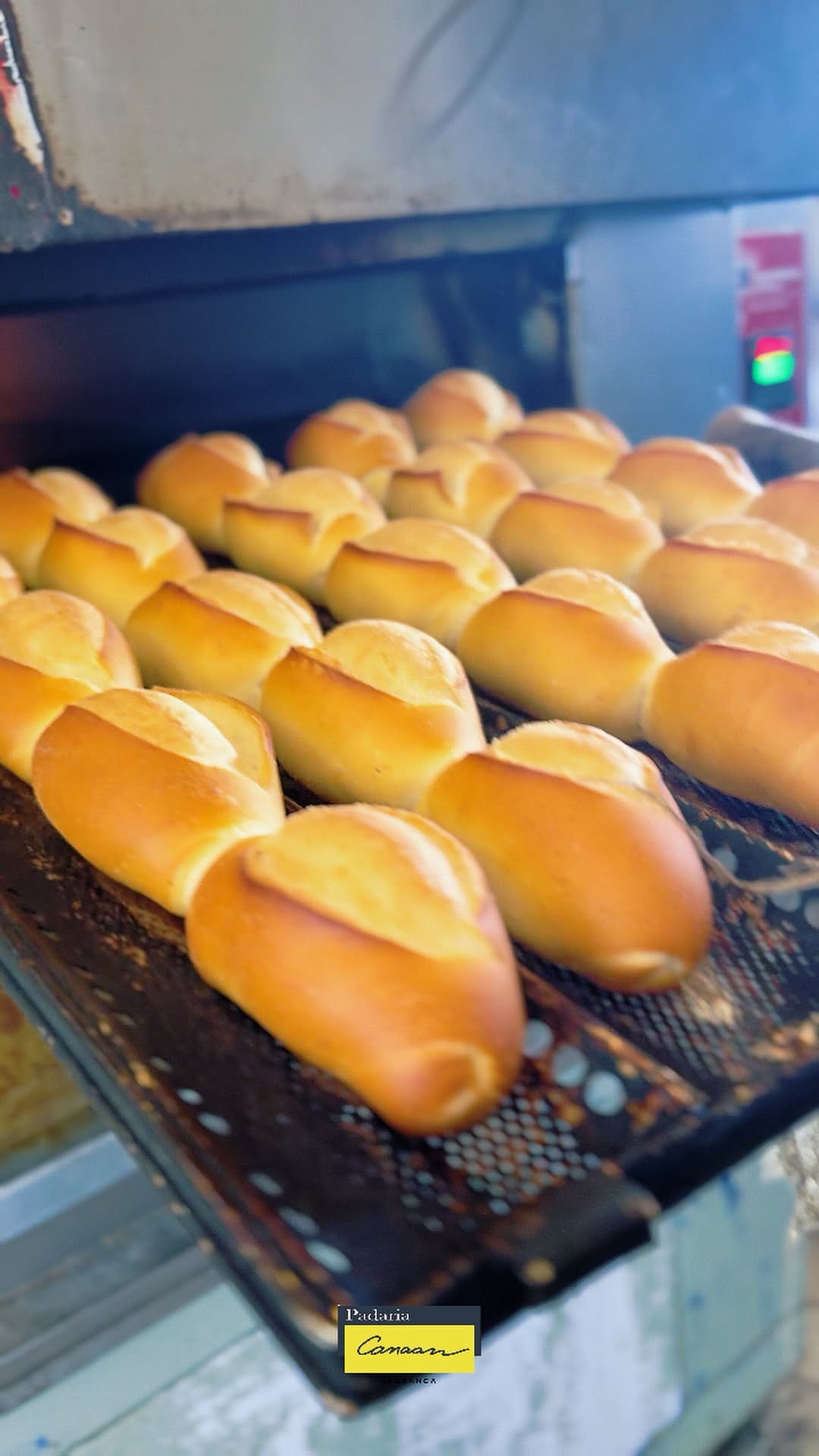 Pães da Padaria Canaan saindo do forno