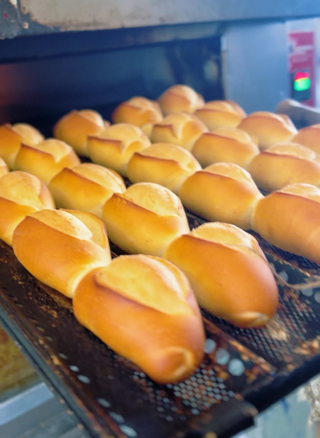 Pães franceses saindo do forno na Padaria Canaan Iporanga